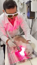 Load and play video in Gallery viewer, New JuvaVet Class IV Therapeutic Laser For Dogs Cats Horses