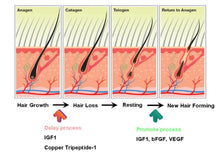Load image into Gallery viewer, New ManeWave Red Light Therapy Hair Restoration System with O2 and Electrotherapy
