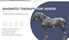 Load image into Gallery viewer, New Physio Magneto ‘War Horse’ Super Transduction Magnetic Field And Infrared Therapy Machine for Pain, Wounds and Fractures