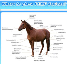 Load image into Gallery viewer, Juvawave ‘Trigger’ PEMF Pulsed Electro Magnetic Field Therapy Mat for Horses

