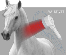 Load image into Gallery viewer, New Physio Magneto ‘War Horse’ Super Transduction Magnetic Field And Infrared Therapy Machine for Pain, Wounds and Fractures