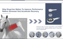 Load image into Gallery viewer, New Physio Magneto ‘War Horse’ Super Transduction Magnetic Field And Infrared Therapy Machine for Pain, Wounds and Fractures