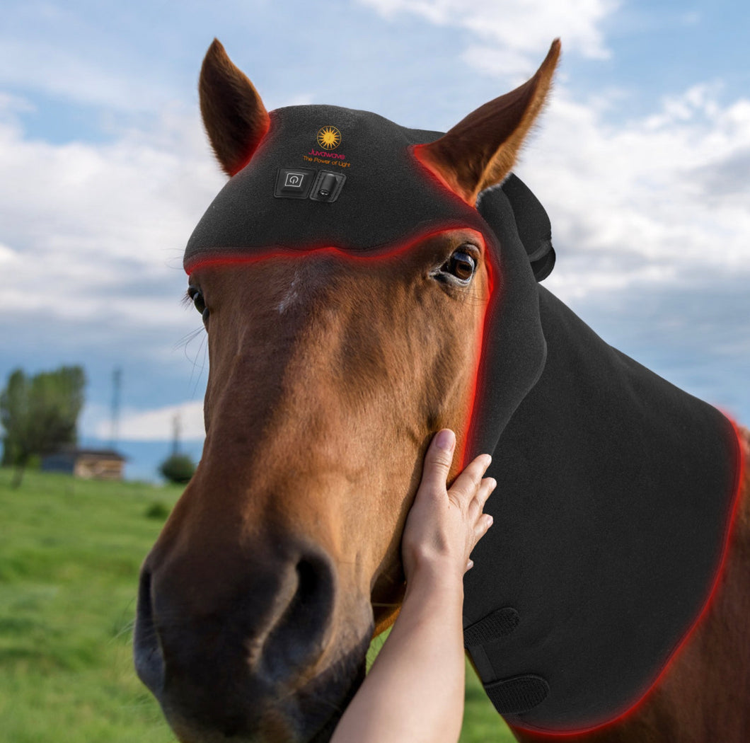 Equine Infrared Red Light Therapy Poll Cap Neck Wrap Treatment Poll Protection Cap Neck Pain Injury Joint pain (from osteoarthritis, or overuse injury that has led to cartilage degradation) Wounds Connective tissue injuries (sprains and strains of ligaments and tendons) Muscle injuries (strains and tears) Cartilage degradation (caused by osteoarthritis or overuse) Muscle recovery from training Back pain Inflammation Neuropathy and neuropathic pain poll equine neck cap wrap 