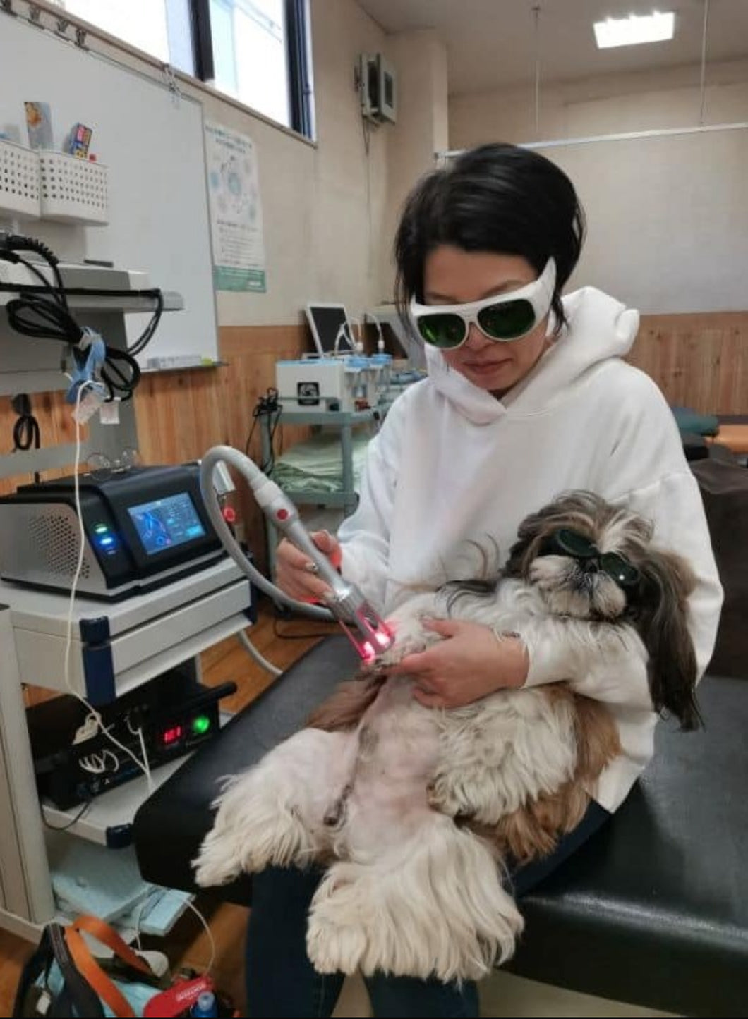 Class 4 Portable Veterinarian Therapeutic Laser Therapy for Dogs Cats Horses Exotics Animals Broken Bones Ligament Tears Arthritis Inflammation Wounds Burns Non Surgical Non Invasive Drug Free 