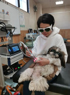 Class 4 Portable Veterinarian Therapeutic Laser Therapy for Dogs Cats Horses Exotics Animals Broken Bones Ligament Tears Arthritis Inflammation Wounds Burns Non Surgical Non Invasive Drug Free
