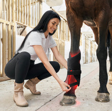 Load image into Gallery viewer, HORSE RED LIGHT THERAPY  TENDON BOOTS (BATTERY POWER) Hock arthritis acupuncture dual wavelength inflammation Tendonitis wounds 660nm 850nm Infrared Non Surgical Drug Free
