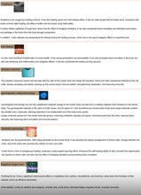 Load image into Gallery viewer, 2026 JuvaLounge Professional AI Terrahertz Energy Cabin

