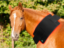 Load image into Gallery viewer, New ‘Polo Pad’ Red Light Therapy Pad for Horses, Dogs, Cats
