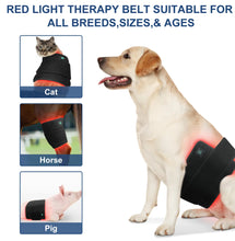 Load image into Gallery viewer, New ‘Polo Pad’ Red Light Therapy Pad for Horses, Dogs, Cats
