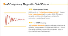 Load image into Gallery viewer, PMST LOOP Portable PEMF Therapy Machine with Rugged Travel Case
