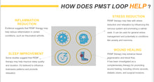 Load image into Gallery viewer, PMST LOOP Portable PEMF Therapy Machine with Rugged Travel Case
