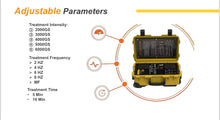 Load image into Gallery viewer, PMST LOOP Portable PEMF Therapy Machine with Rugged Travel Case
