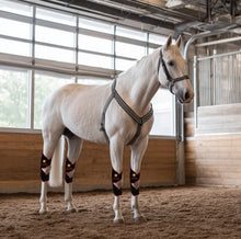 Load image into Gallery viewer, New JuvaHock Red Light Therapy Hock Boots for Horse (2 Per Order)
