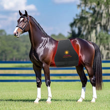 Load image into Gallery viewer, New JuvaBow Wireless XL Red Light Therapy Wrap for Horses
