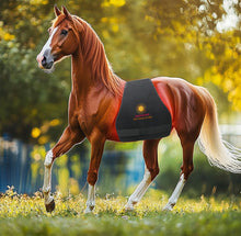 Load image into Gallery viewer, New JuvaBow Wireless XL Red Light Therapy Wrap for Horses
