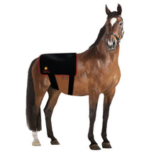 Load image into Gallery viewer, New JuvaGuard Red Light Therapy Spur Guard for Horses
