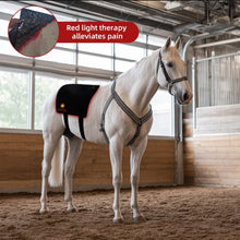 Load image into Gallery viewer, New JuvaGuard Red Light Therapy Spur Guard for Horses
