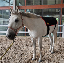 Load image into Gallery viewer, New JuvaGuard Red Light Therapy Spur Guard for Horses
