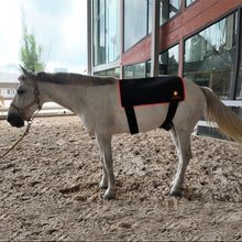 Load image into Gallery viewer, New JuvaGuard Red Light Therapy Spur Guard for Horses
