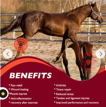 Load image into Gallery viewer, New JuvaHock Red Light Therapy Hock Boots for Horse (2 Per Order)
