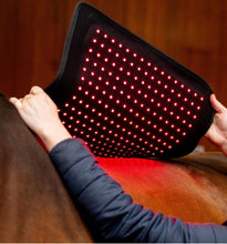 Load image into Gallery viewer, New JuvaGuard Red Light Therapy Spur Guard for Horses
