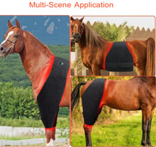 Load image into Gallery viewer, New JuvaBow Wireless XL Red Light Therapy Wrap for Horses
