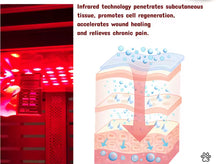 Load image into Gallery viewer, New JuvaPen Red Light Therapy Dog Cat Travel Carrier Crate Cage
