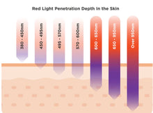 Load image into Gallery viewer, 2026 JuvaTube 360° Professional Home Use 5 Wavelength Home Use Red Light Therapy Bed
