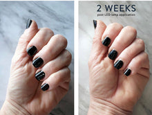 Load image into Gallery viewer, 2026 JuvaNail Professional 60w 2 in 1 UV LED Fingernail and Toenail Curing Lamp
