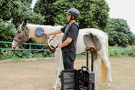 PMST PEMF Equine Loop Electromagnetic Field Therapy for Horses Livestock Animals Cats Dogs Rehab