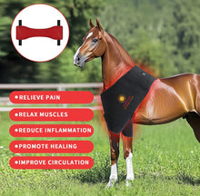 Load image into Gallery viewer, Red light therapy natural physical therapy infrared pain relief portable wireless battery powered wrap equine horse pad 
