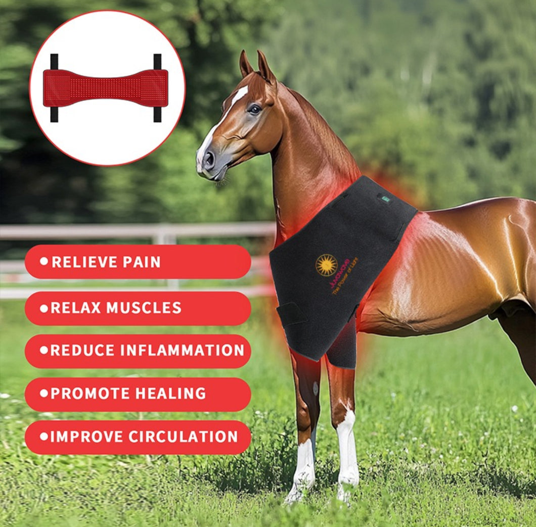 Red light therapy natural physical therapy infrared pain relief portable wireless battery powered wrap equine horse pad 
